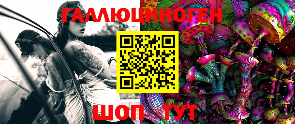 Псилоцибиновые грибы Psilocybine cubensis Усть-Кут